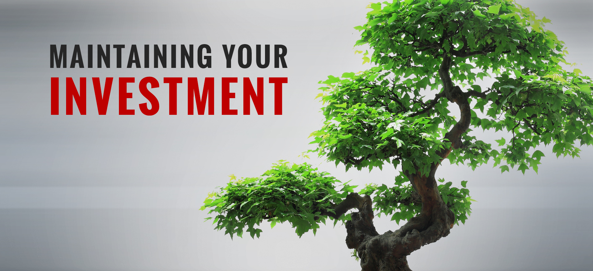 Maintaining your investment.